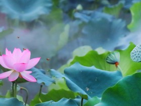 会展公司名誉权纠纷一案二审民事判决书