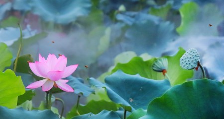 会展公司名誉权纠纷一案二审民事判决书