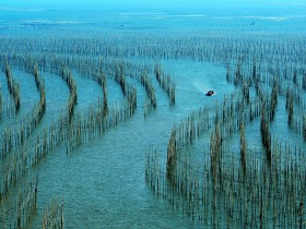 Mr. Yang received an interview by the Voice of Fortune under CNR