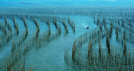 杨春宝律师等为欧米茄观澜湖高尔夫世界杯提供全面法律服务