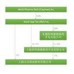 中概股回归路径全解析(中篇)——新三板通道 17 无锡