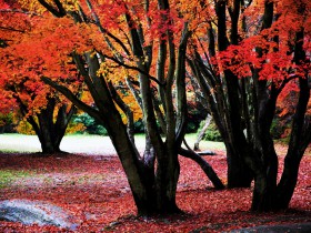 浅析《电子商务法》对电子商务经营者的影响
