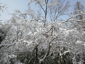 私募基金行业近期监管动态(2018年11月)