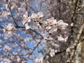 TMT行业法律动态(2019年第一季度/总第7期)