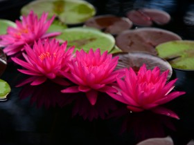 面对“二选一”胁迫,“格兰仕”们如何维权?