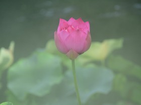 TMT行业法律动态(2019年第二季度/总第8期)