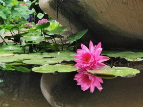 私募基金行业法律动态(2019年7月/总第18期)