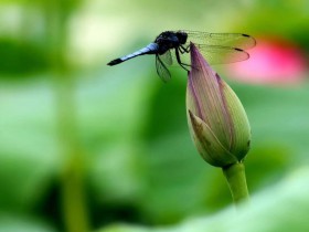 ZAO!怎样合法收集使用个人信息,你“造”吗?——浅析企业应如何制订隐私政策