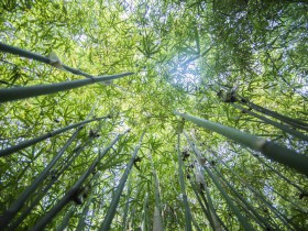 TMT行业法律动态(2019年第三季度/总第9期)