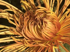 社交电商“砍价型”营销的三大合规风险