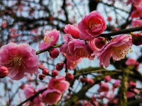 TMT行业法律动态(2019年第四季度/总第10期)