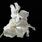 photo material 320397292
