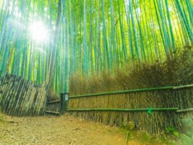 一文秒懂《网络安全审查办法》