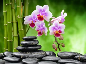 私募基金行业法律动态(2020年3月/总第25期)