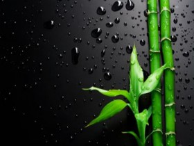 Summary on Shanghai's Policies in Relation to Encouragement of Foreign Investment during Period of Covid-19 Epidemic