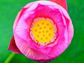 OMG!别再任性了,KOL们!