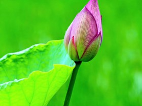 TMT行业法律动态(2020年第二季度/总第12期)