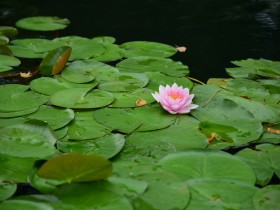 TMT行业法律动态(2020年第三季度/总第13期)