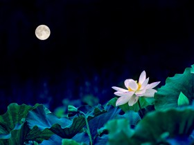 私募基金行业法律动态(2020年9月/总第31期)