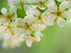 TMT行业法律动态(2020年第四季度/总第14期)