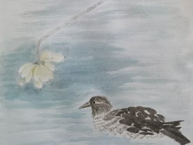 TMT行业法律动态(2022年第四季度/总第22期)