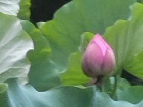 百度知道：他的专业能力和丰富的经验，使他在投融资法律实务领域独树一帜