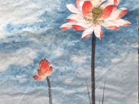 杨春宝律师团队2023年度部分私募基金、投融资法律服务业绩动态